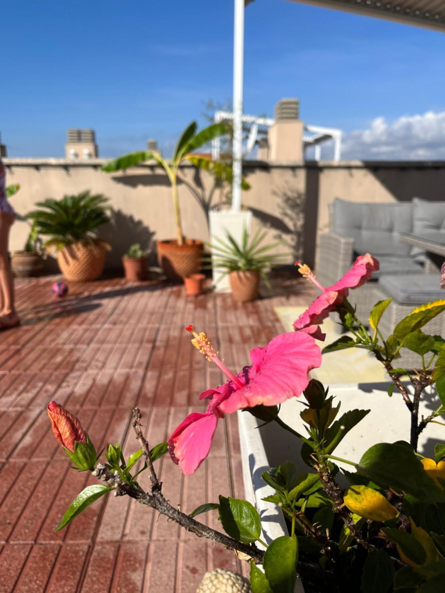 La Azotea Apartamento Cambrils Exterior foto